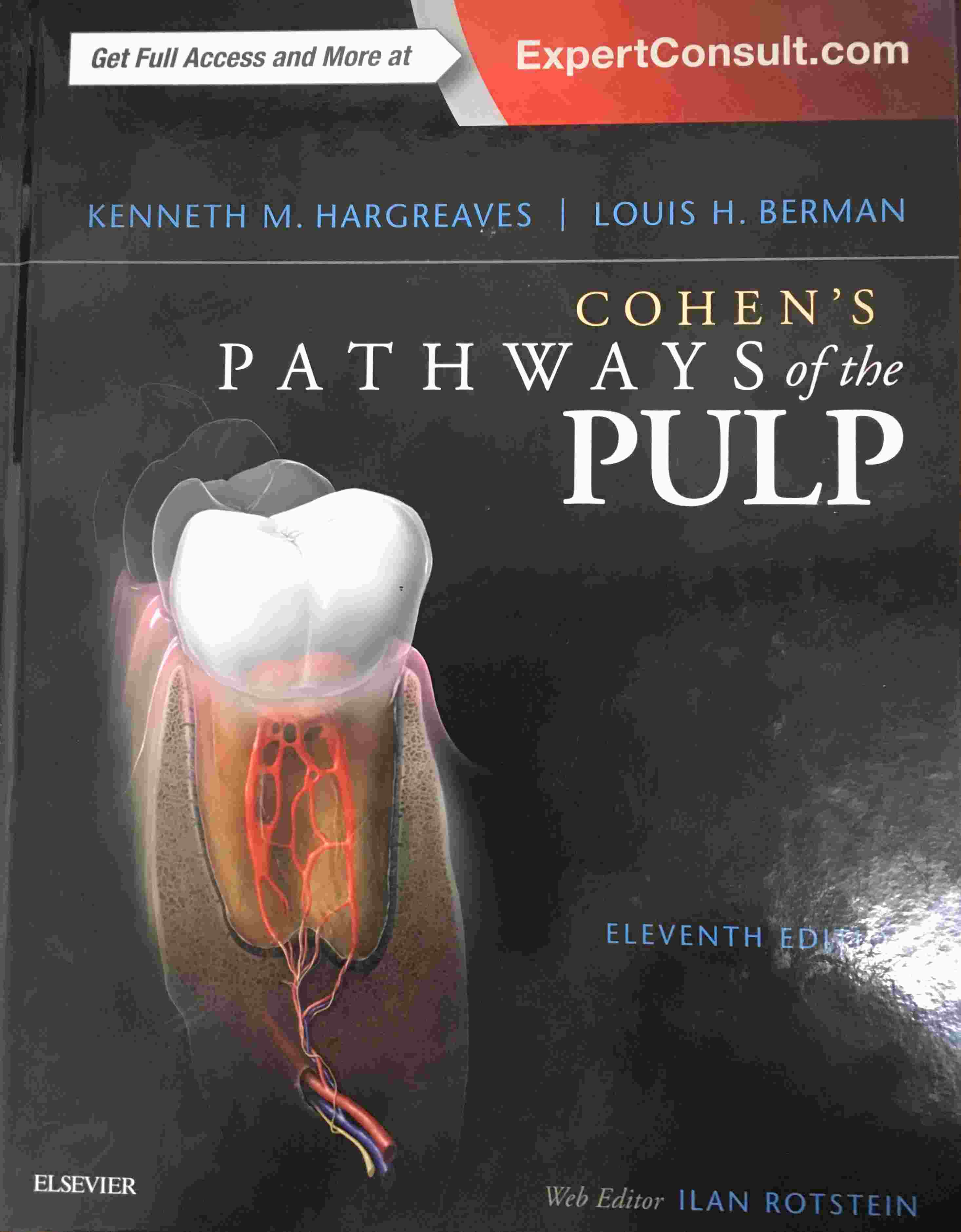 «Cohen's Pathways of the Pulp»
