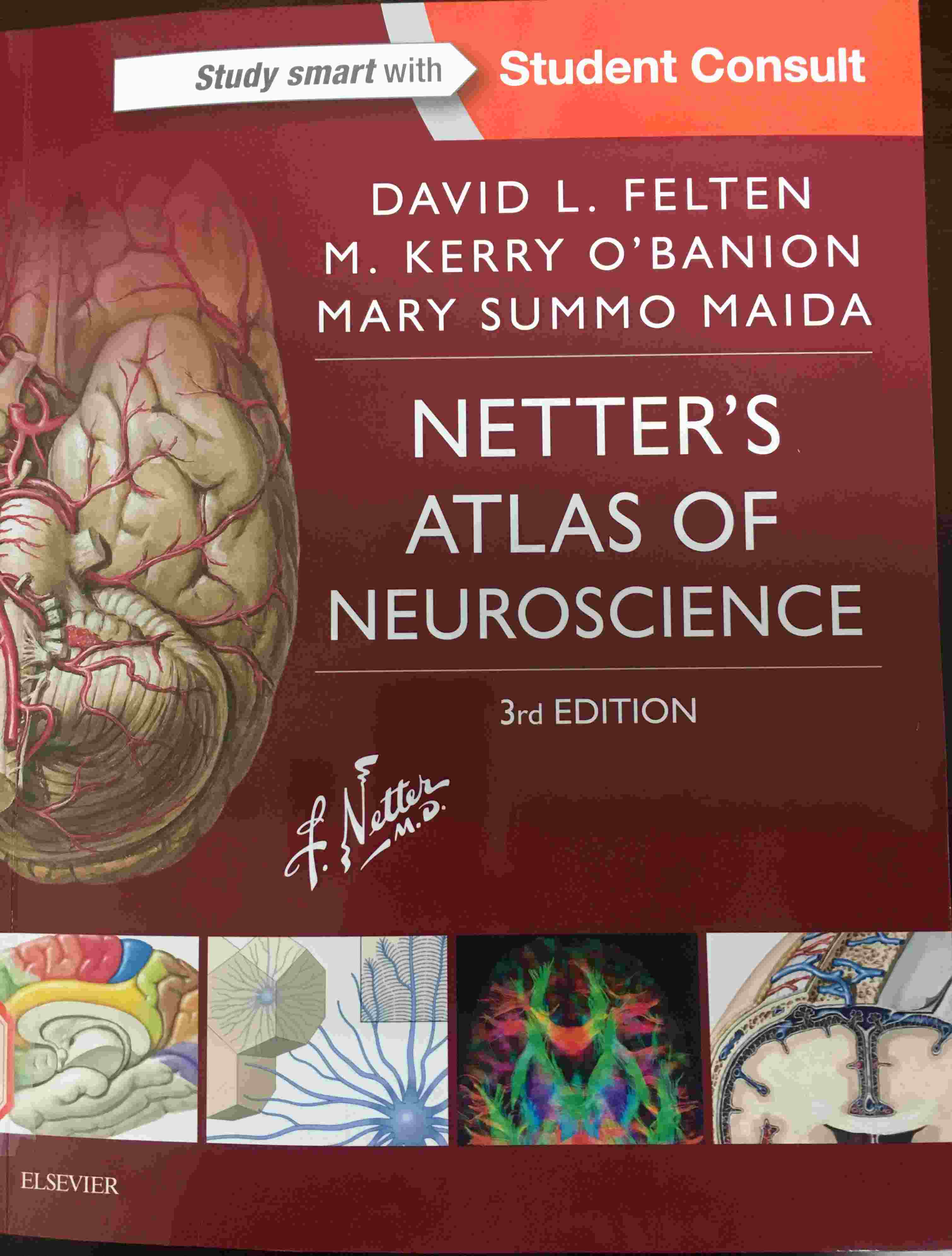 «Netter's atlas of neuroscience»