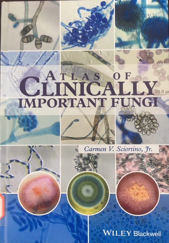 «Atlas of Clinically Important Fungi »